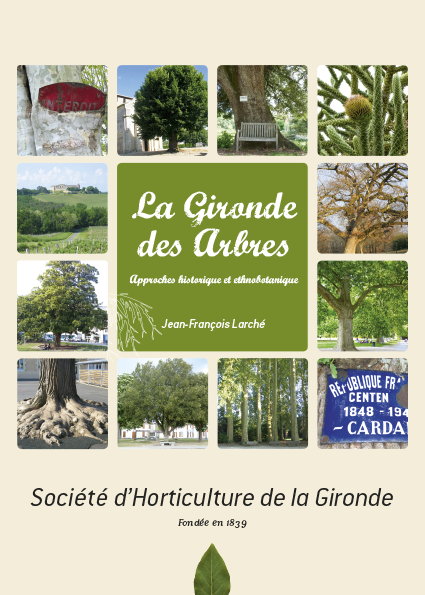graphiste-sites-print-identite-visuelle