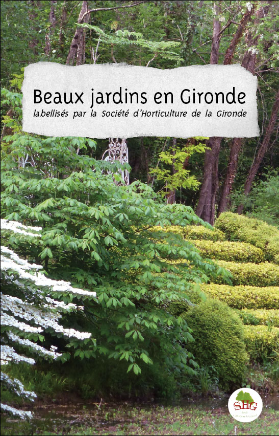 graphiste-sites-print-identite-visuelle