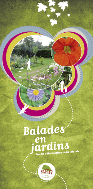 graphiste-sites-print-identite-visuelle